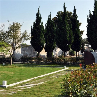 墓地绿化建筑